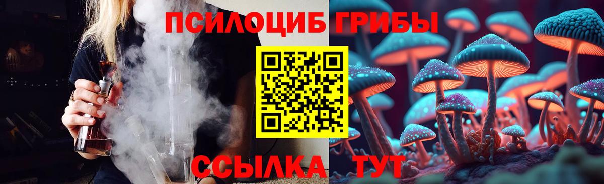 Галлюциногенные грибы Cubensis Котлас